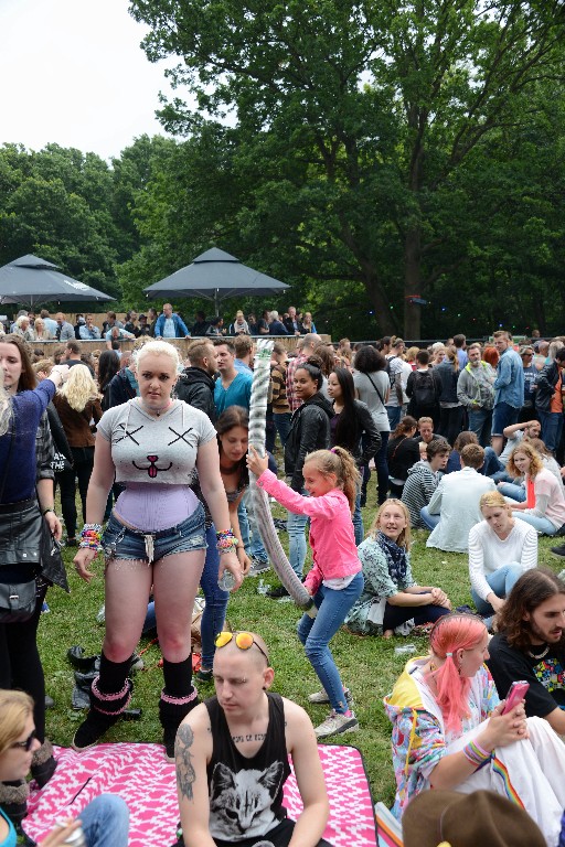 ../Images/Werfpop 2015 138.jpg